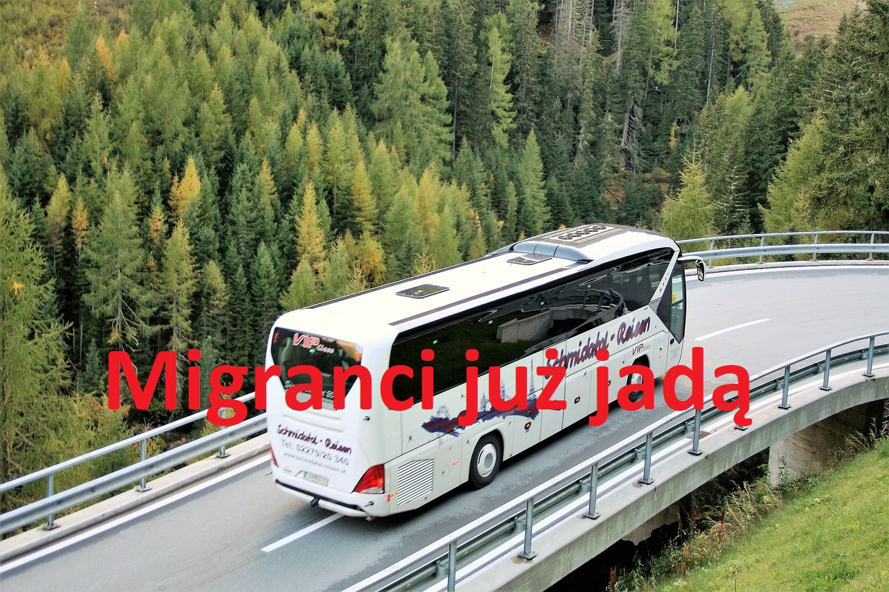 Migranci jadą do Polski - tekst na zdjęciu z Pixabay
