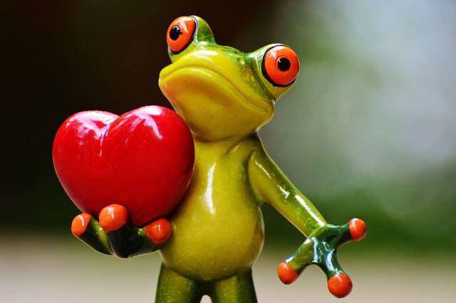 Żaba z sercem. Pixabay.